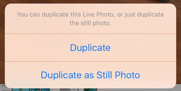 Ios 9. 3: as principais novidades Versoes-normais-live-photos