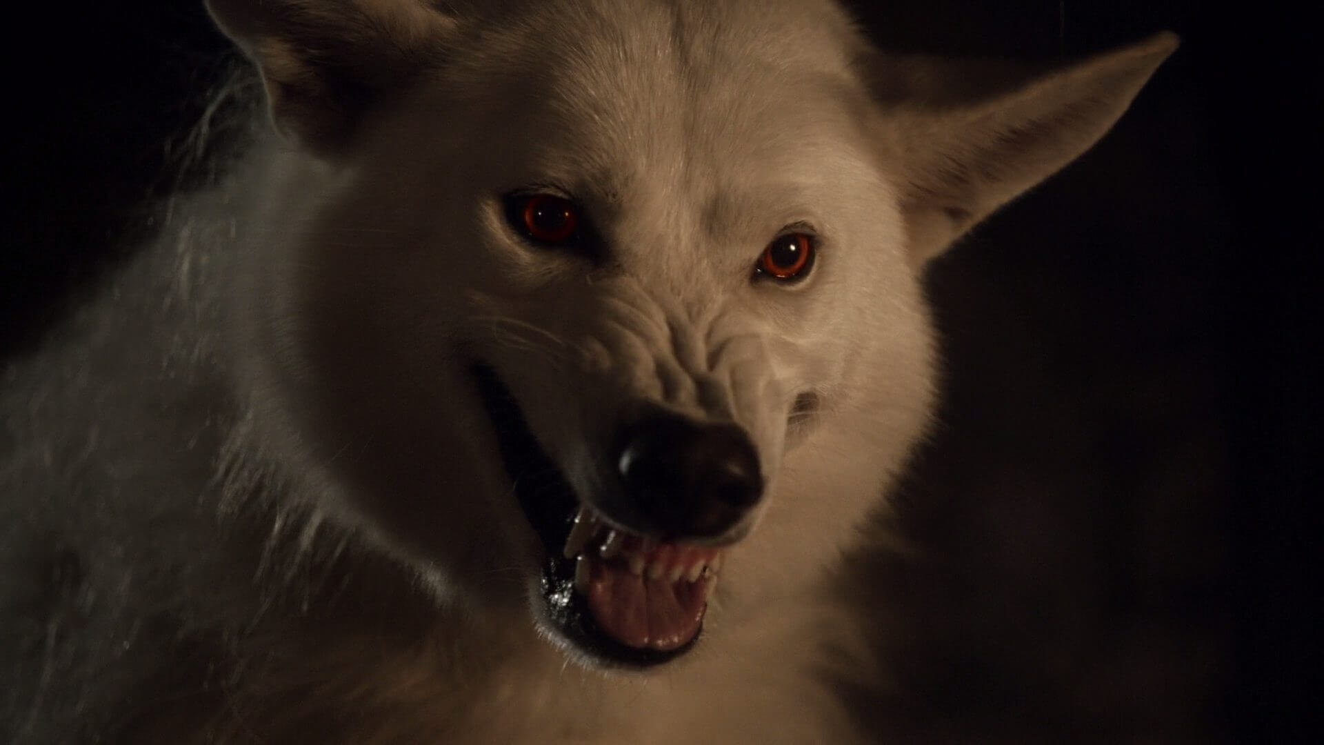 Dire wolves should be back in the seventh season of Game of Thrones