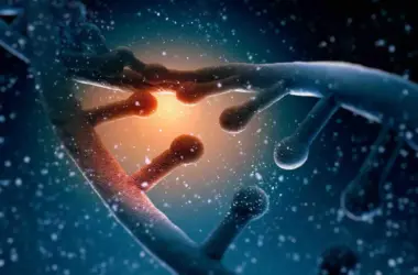 Dna crispr