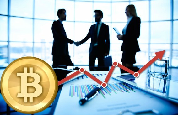 Entenda como as "baleias da bitcoin" influenciam o valor da criptomoeda. Entenda como um seleto grupo de investidores da bitcoin podem ter controle no valor da criptomoeda e se beneficiar em cima disso.