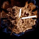 Apple watch series 4; o pequeno notável (review) Apple watch series 4 os 5