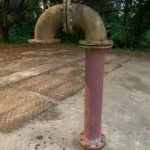 Review: iphone xr é a aposta da apple que deu certo Iphone xr camera sample 15