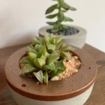 Review: iphone xr é a aposta da apple que deu certo Iphone xr camera sample 6