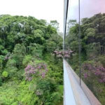 Review: iphone xr é a aposta da apple que deu certo Iphone xr camera sample 9 2