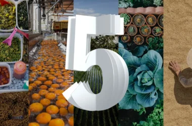 40064362933 abd7b44bcd k