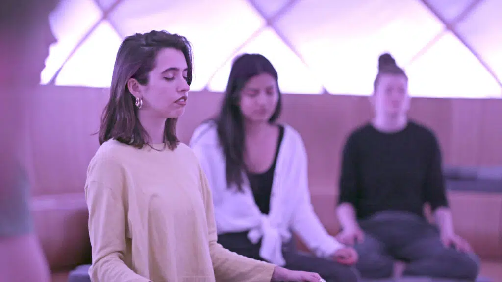 Netflix: explicando a mente desvenda os mistérios do cérebro humano Explicando a mente netflix meditação