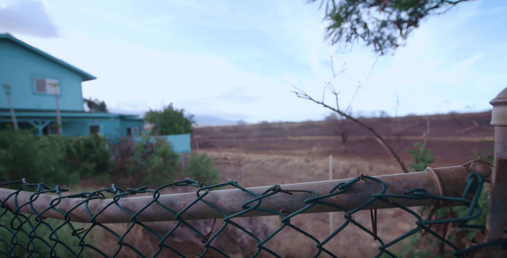 GVO-Lebensmittel: Müssen wir uns Sorgen machen? Der Anbau von transgenen Pflanzen erfolgt in Hawaii in der Nähe von Häusern. Reproduktion: Ich bin froh, dass Sie gefragt haben.
