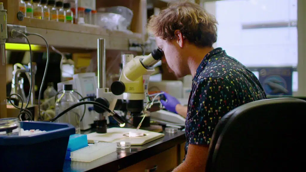 Nieuwe netflix in mei: dynasty-, space force- en batman-films komen in de catalogus Netflix-nieuws in mei: dynastie-, ruimtemacht- en batman-films komen in de catalogus. Bekijk al het nieuws dat in mei naar netflix komt, met films, series, documentaires en comedy specials