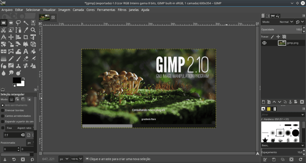 Conheça 10 programas alternativos gratuitos para quem não quer gastar com softwares caros Tela inicial do gimp