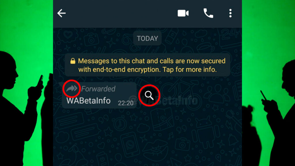 Novo recurso whatsapp