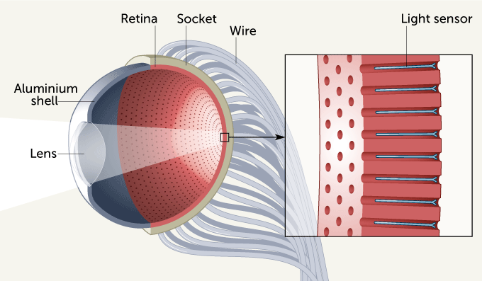 Estrutura do olho artificial criado pelos cientistas