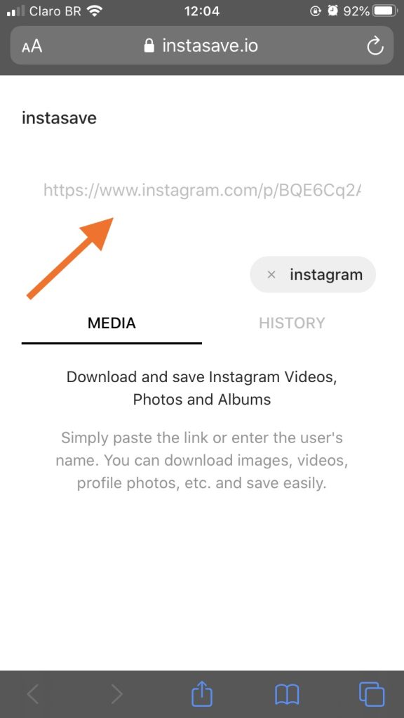 Print de uma etapa para salvar uma live do instagram