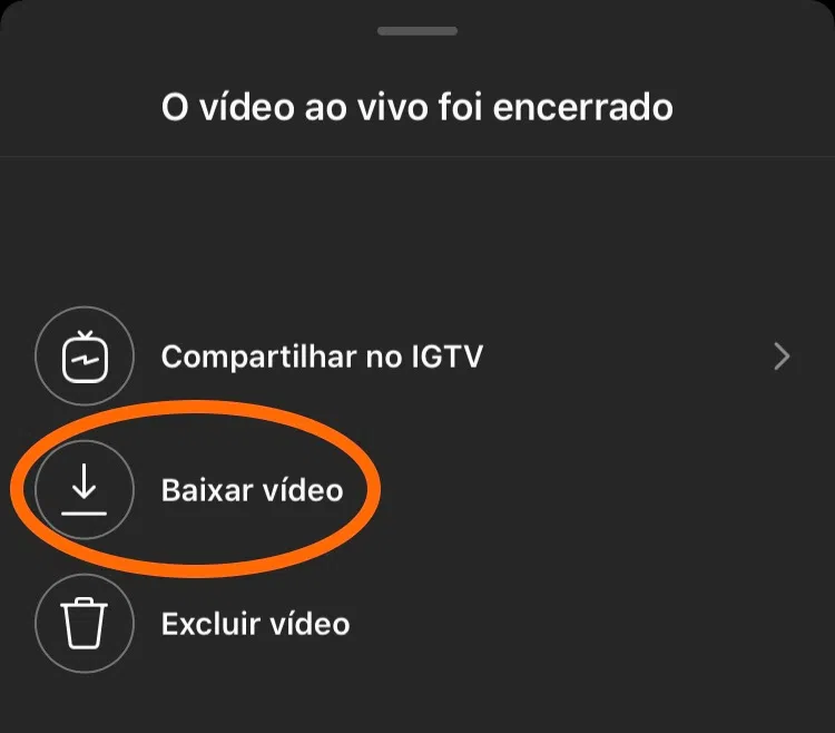 Como salvar uma live do instagram (sua ou de outro perfil) Print do aplicativo instagram para salvar lives