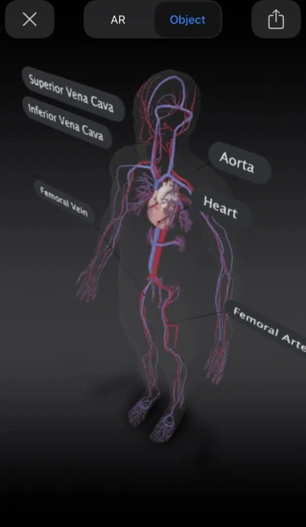 Veja como trazer animais 3d para dentro da sua casa com o google, através da realidade aumentada Veja como trazer animais 3d para dentro da sua casa com o google, através da realidade aumentada. Ferramenta de realidade aumentada traz experiência com animais 3d e até mesmo o corpo humano para a tela do smartphone