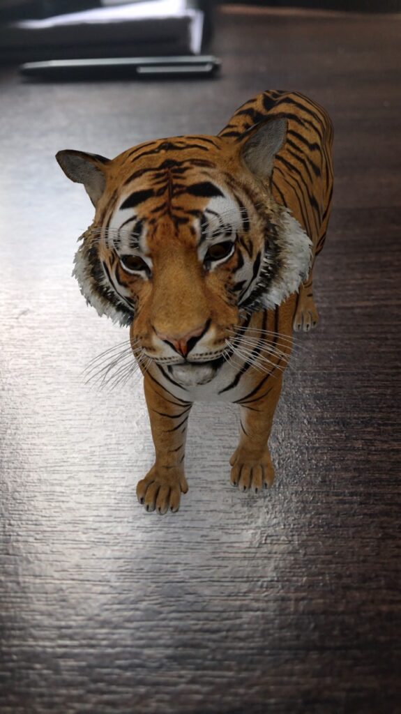 See how to bring 3D animals into your home with Google, through augmented  reality