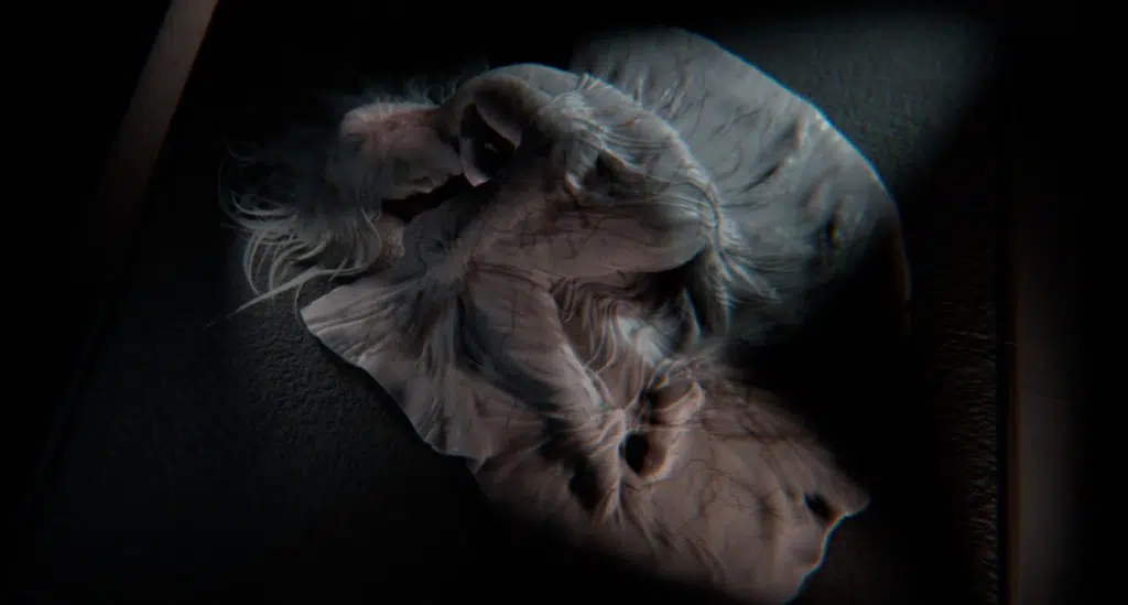 Noah cyrus lança clipe feito inteiramente no jogo dreams Dreams noah cyrus july