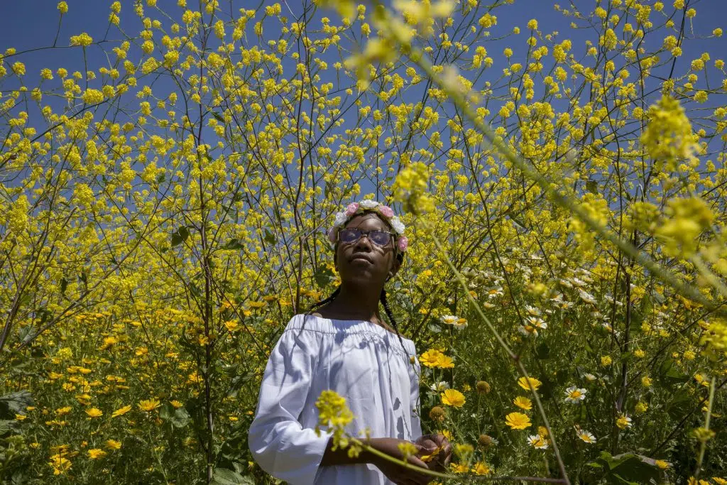 Novidades netflix em setembro: o diabo de cada dia, enola holmes e muito mais Cena do documentário 'uma canção para latasha'