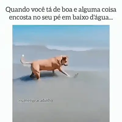 Como criar gifs no pc e smartphone Como criar gifs no pc e smartphone. Se você gosta destas imagens animadas, esse artigo irá te mostrar como criar gifs no seu pc ou smartphone