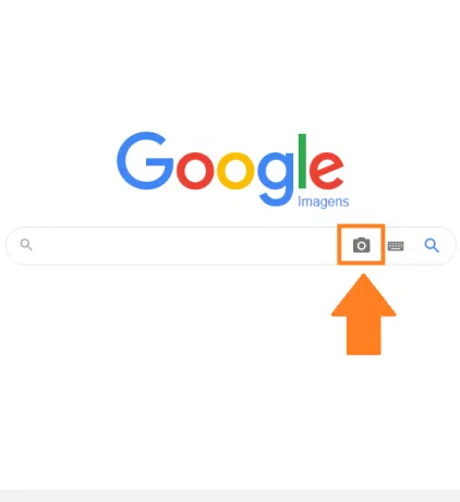 É fake: saiba como identificar perfis falsos na internet É fake: saiba como identificar perfis falsos na internet. Seja em apps de relacionamento, discussões políticas ou golpes financeiros, os fakes estão ainda mais presentes durante a pandemia: veja nosso guia para saber como encontrá-los