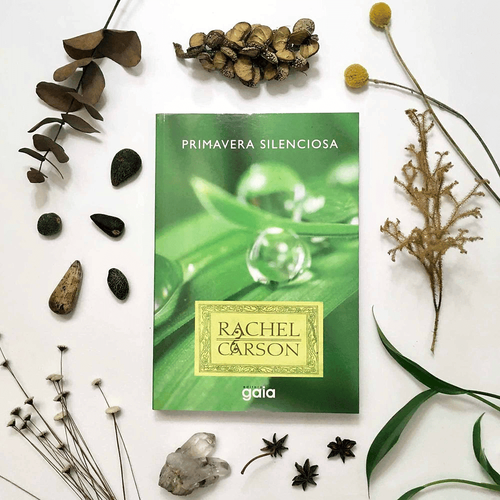 Os 30 melhores livros sobre ciência Livro em meio a folhas secas