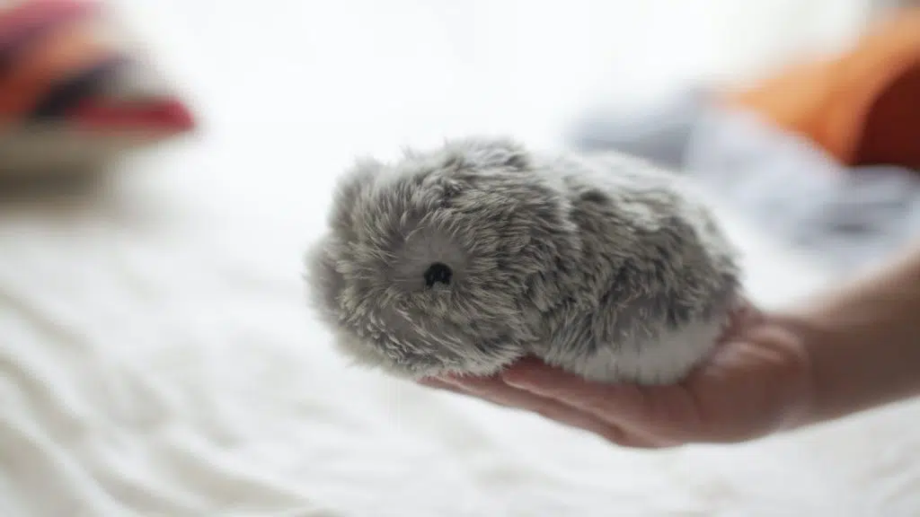 Ces 2021: o que esperar da maior feira de tecnologia do mundo Robô moflin