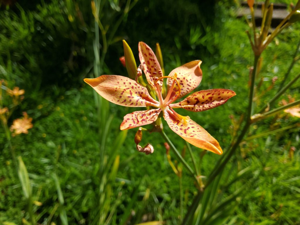 Review galaxy tab s7 é o melhor tablet android no brasil Review galaxy tab s7 é o melhor tablet android no brasil. Análise completa revela que o samsung galaxy tab s7 é o tablet android mais poderoso à venda no brasil, sem travamento algum e repleto de recursos fantásticos