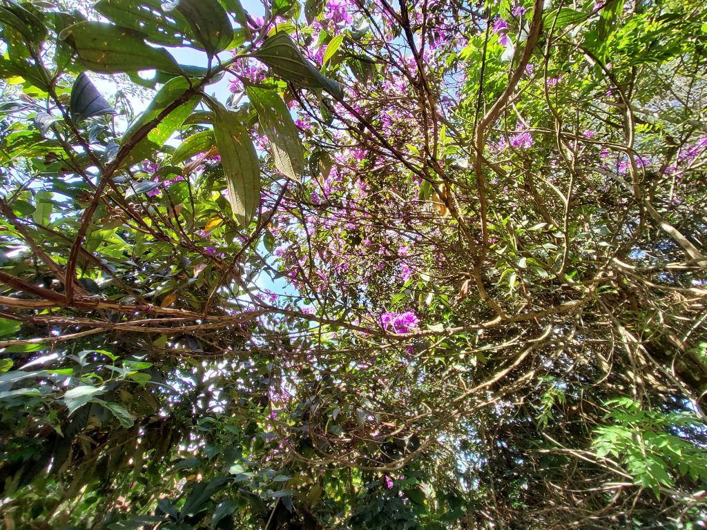 Review galaxy tab s7 é o melhor tablet android no brasil Review galaxy tab s7 é o melhor tablet android no brasil. Análise completa revela que o samsung galaxy tab s7 é o tablet android mais poderoso à venda no brasil, sem travamento algum e repleto de recursos fantásticos