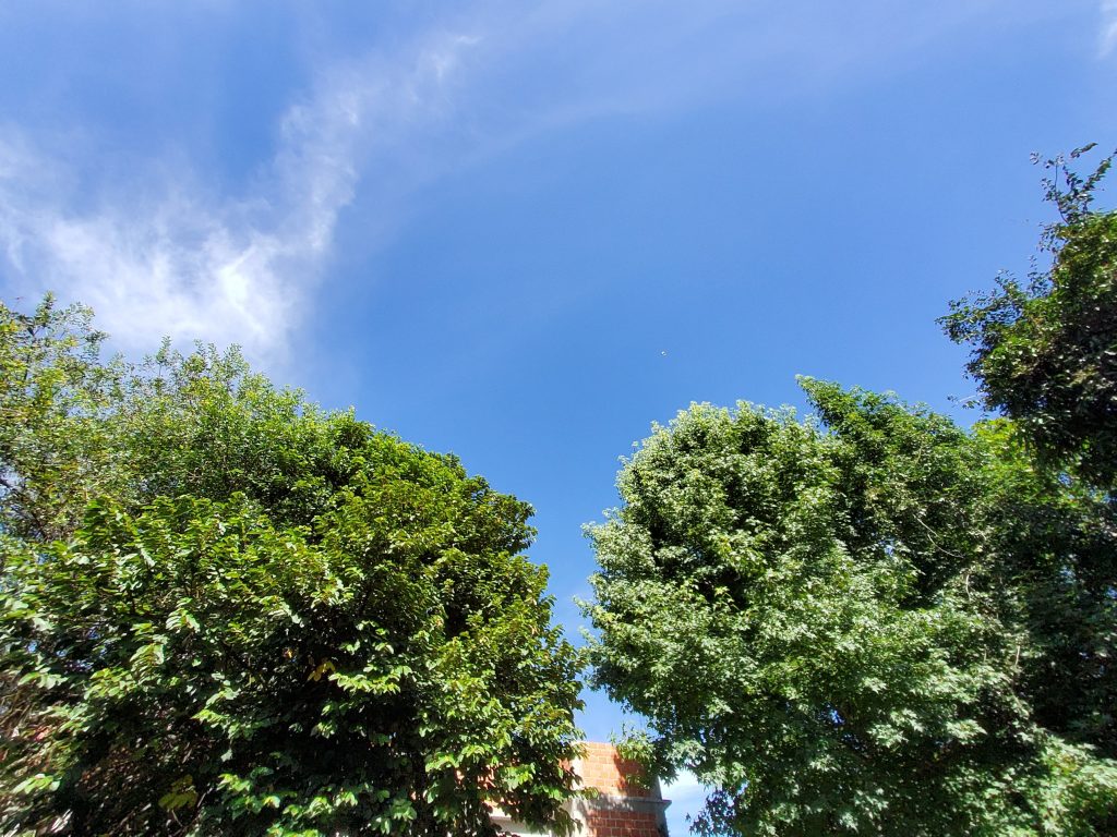 Review galaxy tab s7 é o melhor tablet android no brasil Review galaxy tab s7 é o melhor tablet android no brasil. Análise completa revela que o samsung galaxy tab s7 é o tablet android mais poderoso à venda no brasil, sem travamento algum e repleto de recursos fantásticos