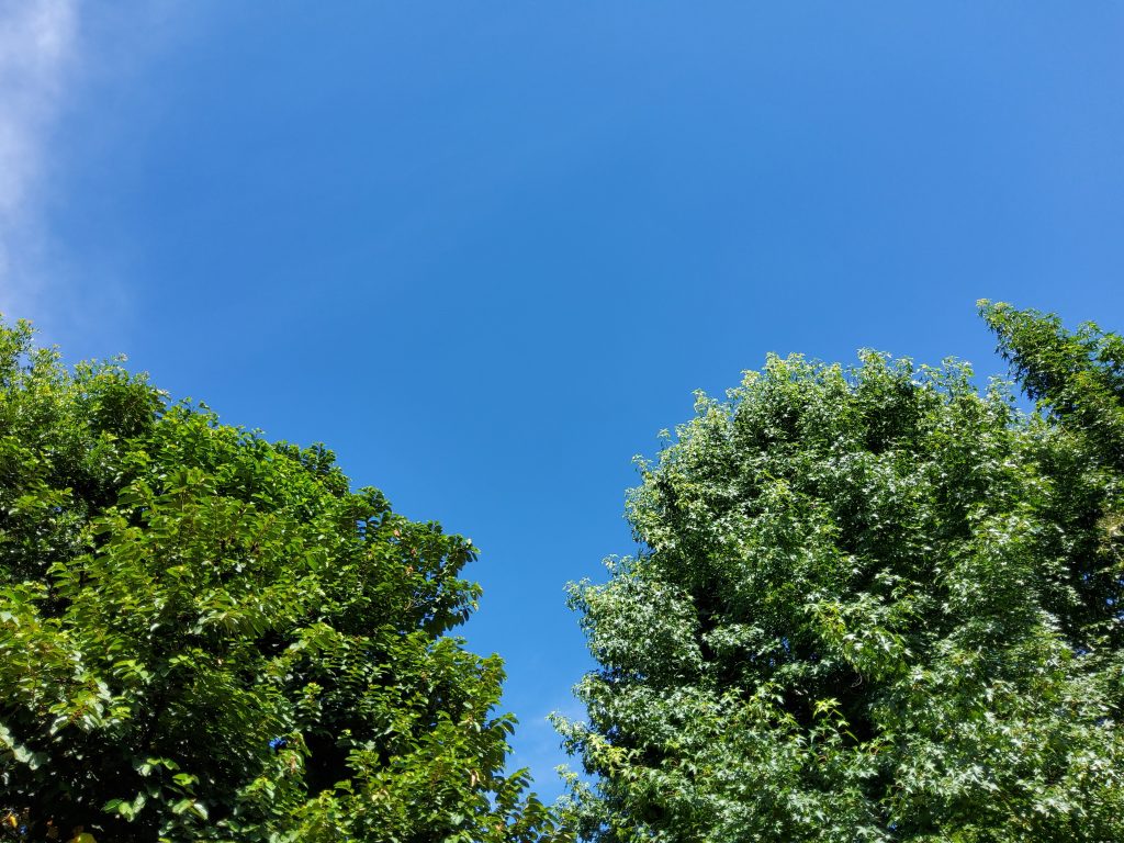 Review galaxy tab s7 é o melhor tablet android no brasil Review galaxy tab s7 é o melhor tablet android no brasil. Análise completa revela que o samsung galaxy tab s7 é o tablet android mais poderoso à venda no brasil, sem travamento algum e repleto de recursos fantásticos