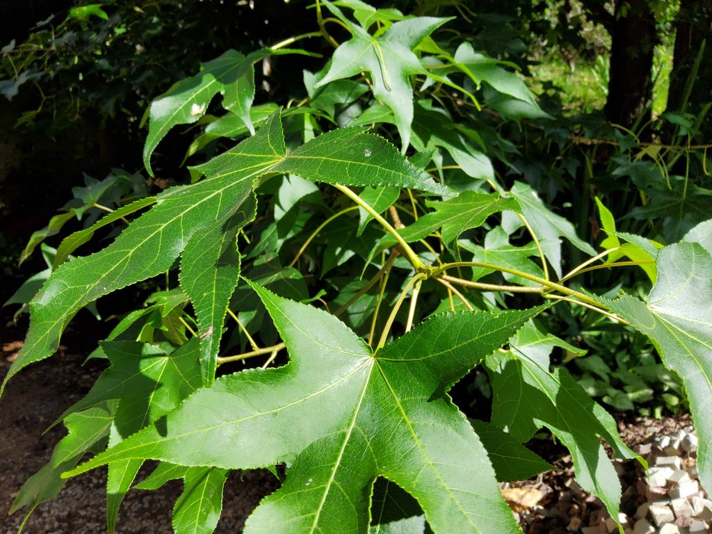 Review galaxy tab s7 é o melhor tablet android no brasil Review galaxy tab s7 é o melhor tablet android no brasil. Análise completa revela que o samsung galaxy tab s7 é o tablet android mais poderoso à venda no brasil, sem travamento algum e repleto de recursos fantásticos