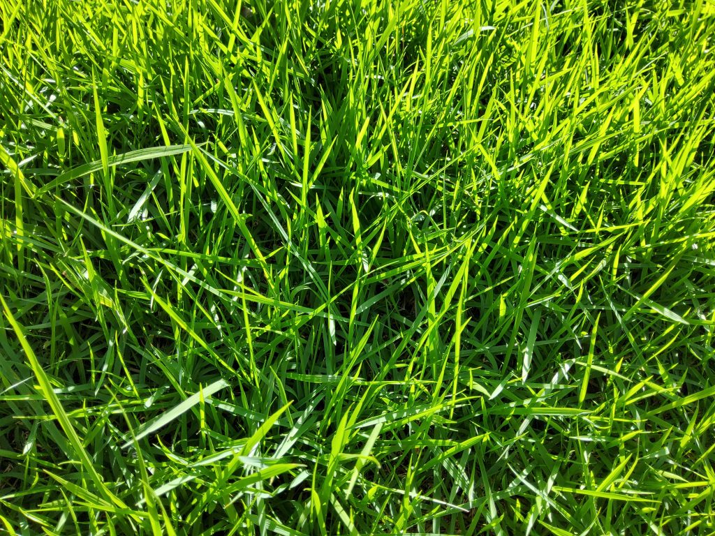 Review galaxy tab s7 é o melhor tablet android no brasil Review galaxy tab s7 é o melhor tablet android no brasil. Análise completa revela que o samsung galaxy tab s7 é o tablet android mais poderoso à venda no brasil, sem travamento algum e repleto de recursos fantásticos