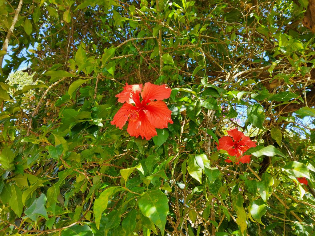 Review galaxy tab s7 é o melhor tablet android no brasil Review galaxy tab s7 é o melhor tablet android no brasil. Análise completa revela que o samsung galaxy tab s7 é o tablet android mais poderoso à venda no brasil, sem travamento algum e repleto de recursos fantásticos