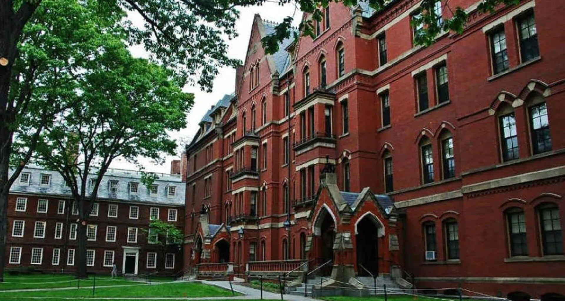 165 cursos gratuitos de harvard