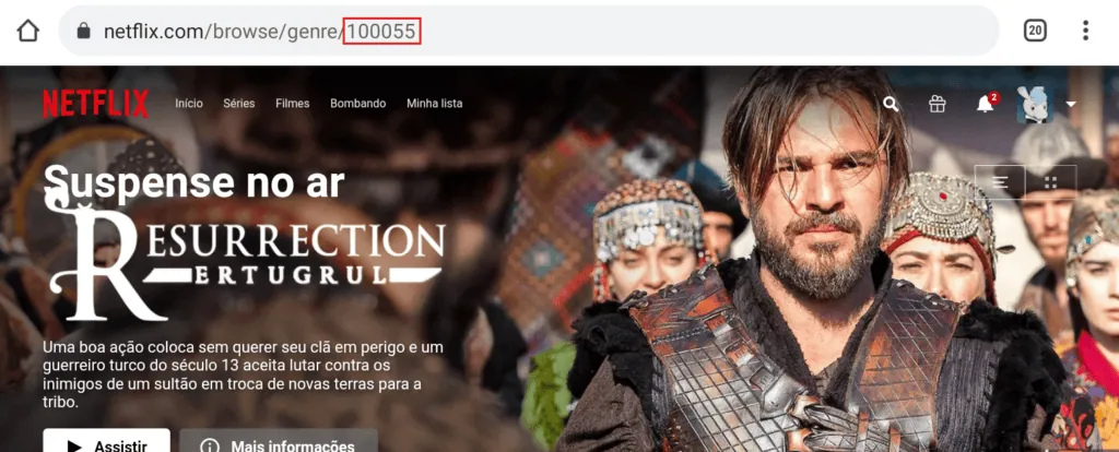 Descubra categorias de filmes com os códigos secretos da netflix Página com url indicando o número 100055 - códigos secretos da netflix