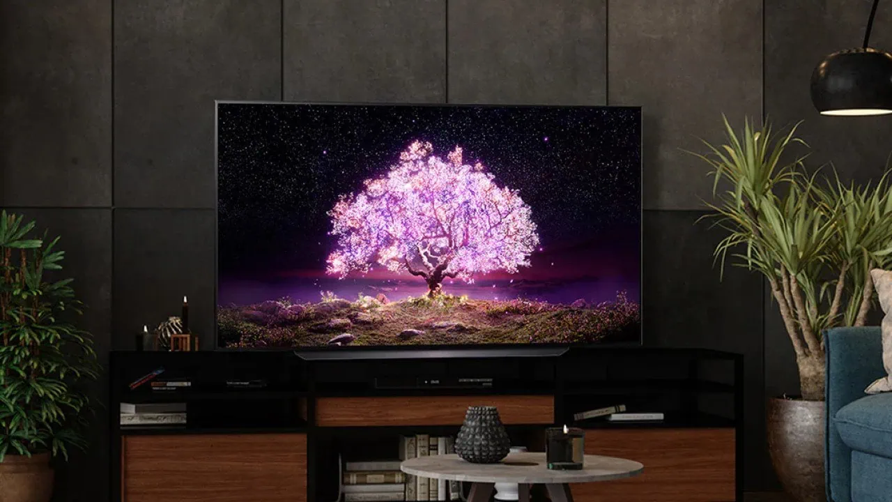 Oled tv 48c1