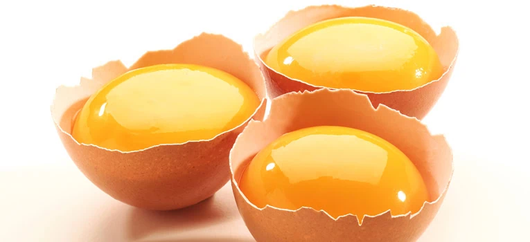 Alimentos light não são saudáveis? Os 10 mitos da dieta Alimentos light não são saudáveis? Os 10 mitos da dieta. Preparamos um super vídeo com uma nutricionista comentando os 10 mitos de dieta mais conhecidos. Fique por dentro!