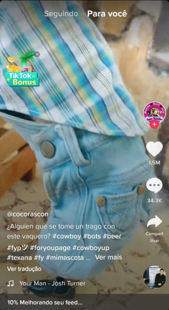 Bots descobrem como funciona o algoritmo do tiktok Funciona o algoritmo do tiktok