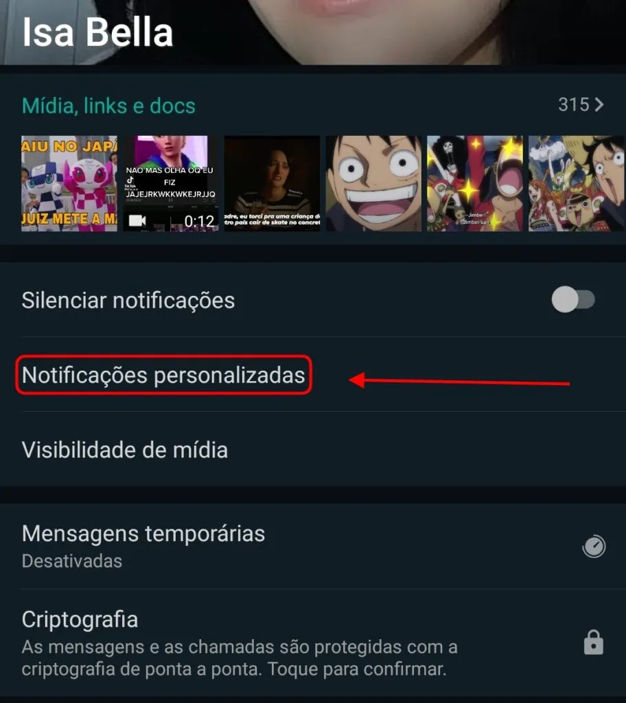 Whatsapp: 15 dicas e truques para usar melhor o app Notificações personalizadas no whatsapp