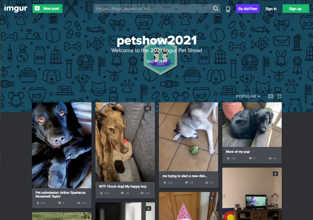 Os 16 melhores sites e apps para compartilhar arquivos e fotos Os 16 melhores sites e apps para compartilhar arquivos e fotos