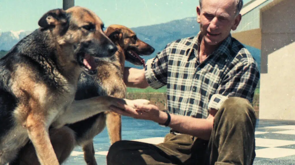 Lançamentos da netflix em outubro: novas temporadas de sintonia, você e mais Colônia dignidade: uma seita nazista no chile