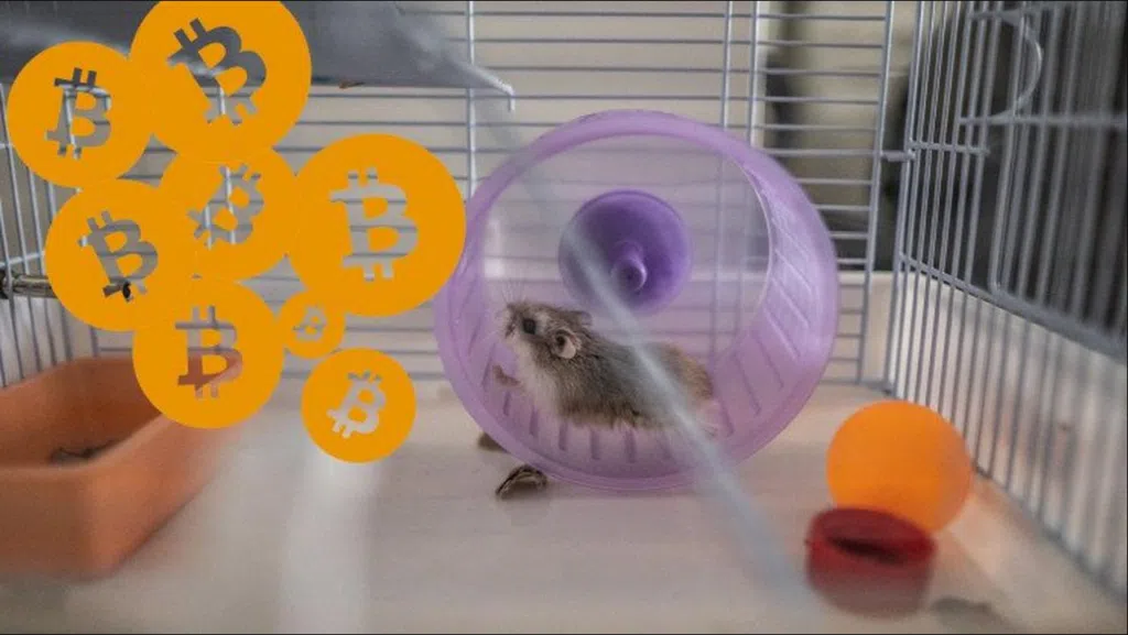 Erupção de vulcão na espanha e o tsunami no brasil | showmetech trio Mr. Goxx em mais um dia de expediente