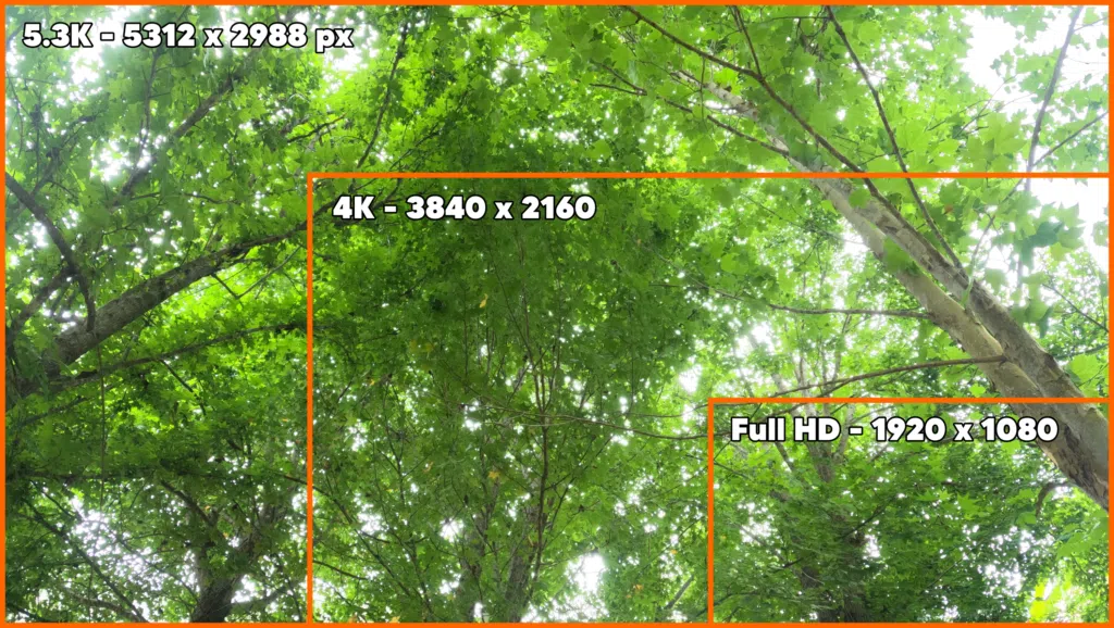 Review: gopro hero10 black Foto de árvores mostrando a diferença entre a resolução 5. 3k, 4k e o fullhd, resoluções da gopro hero10 black