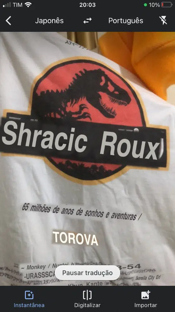 Google tradutor é bom? Veja como funciona o serviço de tradução Imagem com tradução sobreposta