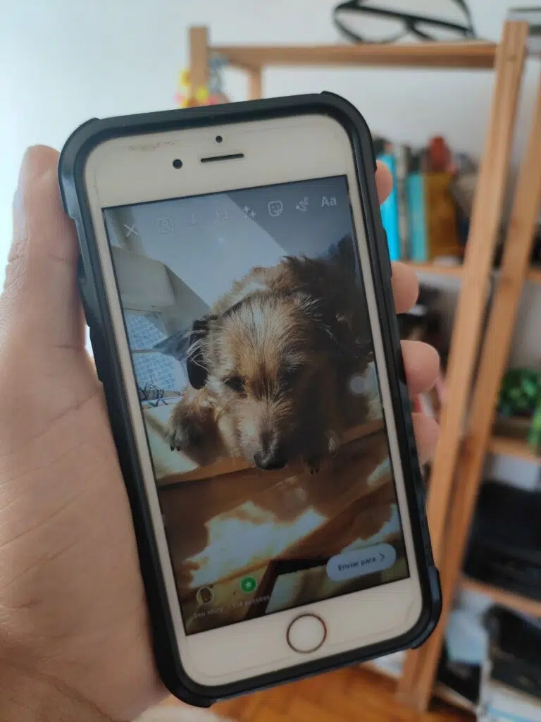 Como fazer uma corrente no instagram com "use a sua" Use a sua: como fazer uma corrente no instagram