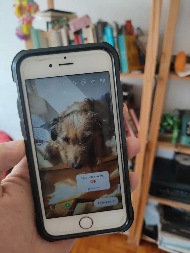 Como fazer uma corrente no instagram com "use a sua" Use a sua: como fazer uma corrente no instagram