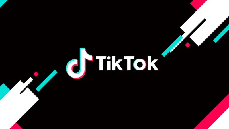 10 startup unicorno che hanno cambiato il mondo Logo di tiktok, una delle migliori startup di unicorni in tutto il mondo