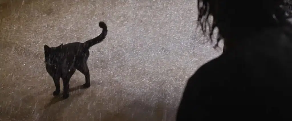 Matrix resurrections krijgt nieuwe trailer en pre-order data Matrix resurrections krijgt een nieuwe trailer die de kat brengt die diende om het fenomeen déjà-vu te illustreren.