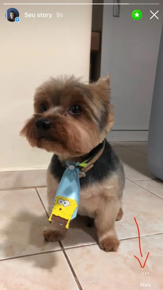 5 maneiras de baixar stories do instagram Salve story manualmente