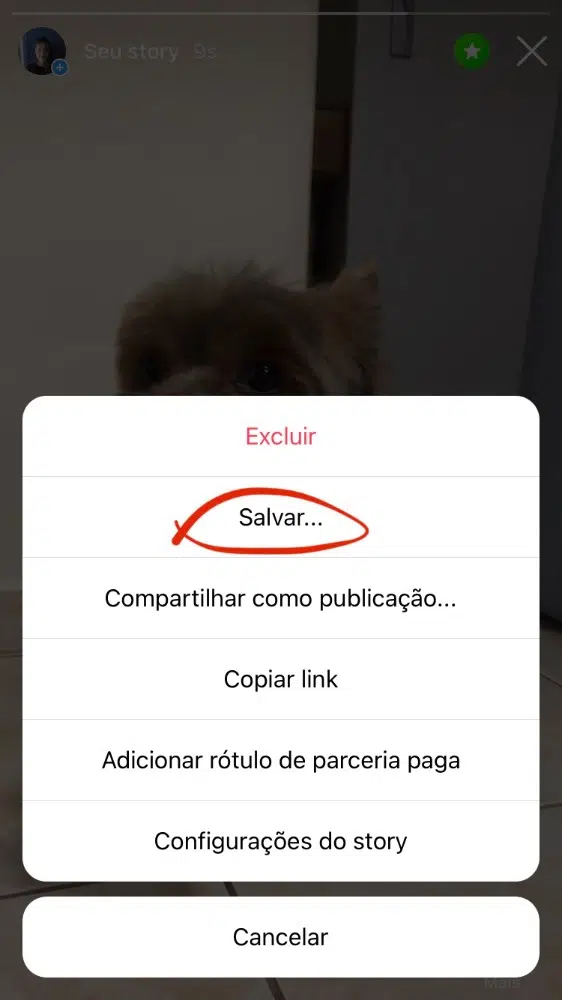 5 maneiras de baixar stories do instagram Como salvar stories manualmente