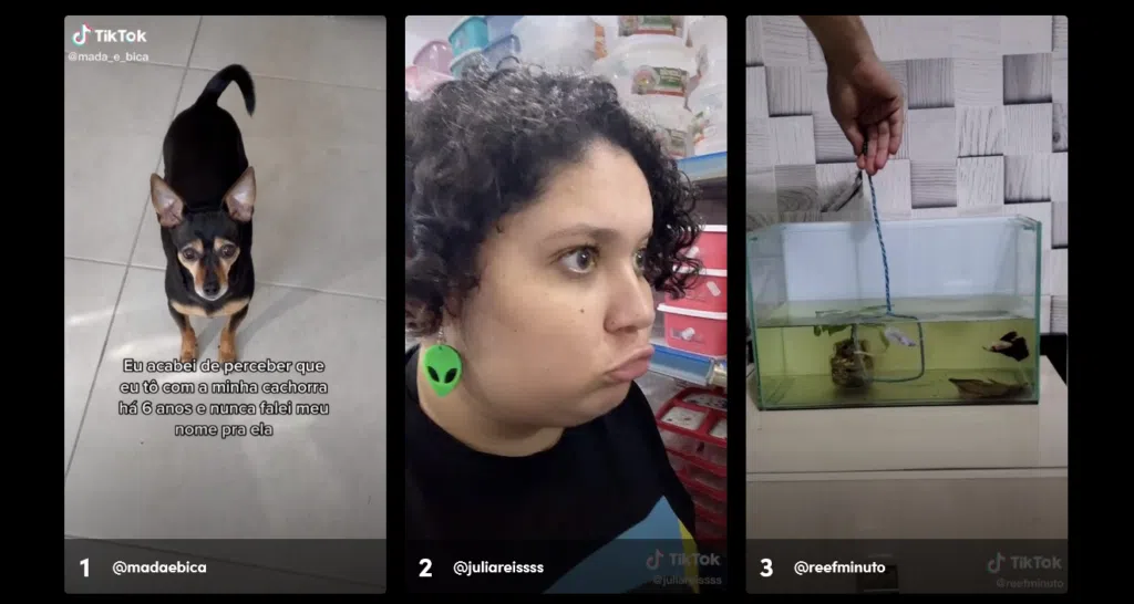 O ano no tiktok: veja a retrospectiva 2021 da rede social O ano no tiktok: veja a retrospectiva 2021 da rede social. Dividido em categorias, o ano no tiktok elenca quais foram os vídeos que mais se destacaram este ano. Confira com a gente!